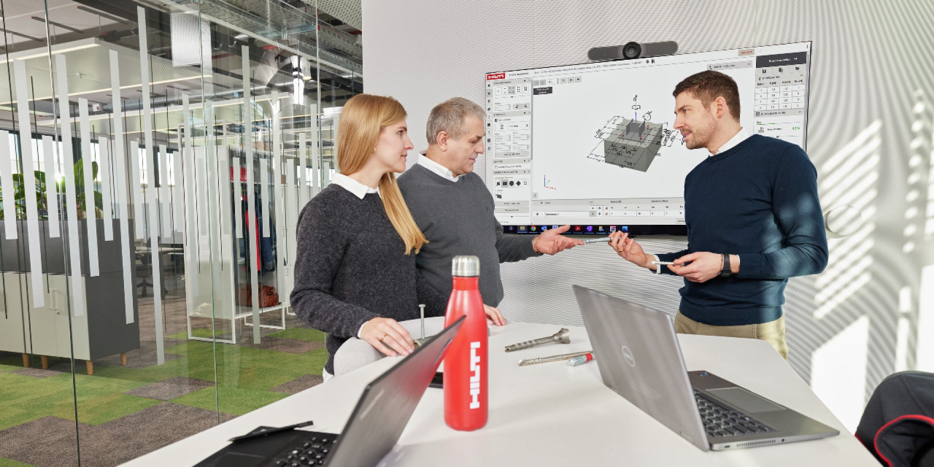 Engineers using profis